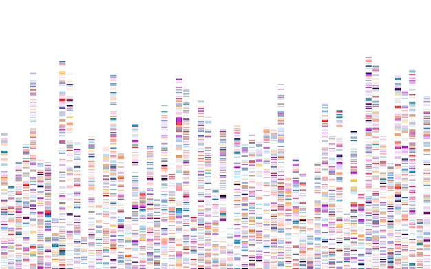 DNA-test infografie Genome sequentie kaart