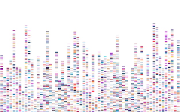 Vector dna test infographic genome sequence map