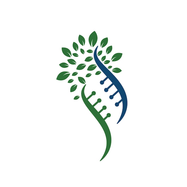 Dna tree vector logo design. DNA genetic icon. DNA with green leaves vector logo design.