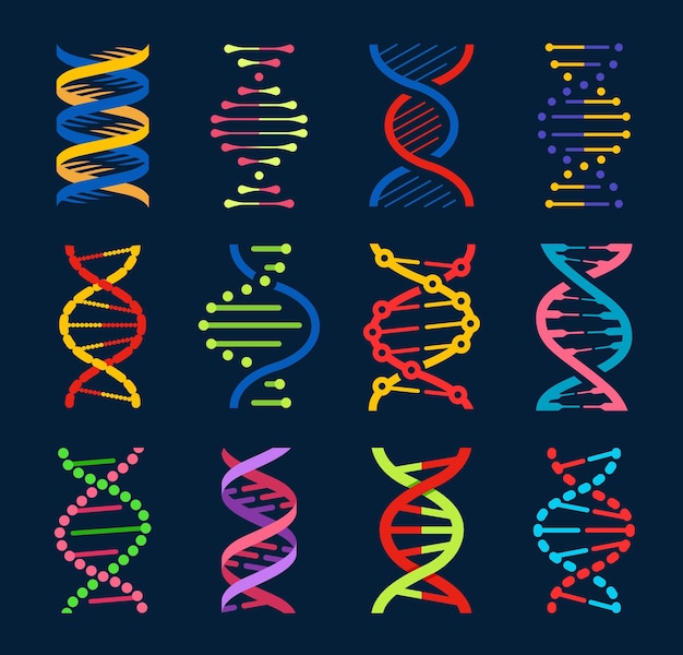 Eliche vettoriali di dna di molecole genetiche umane genetica e biologia scienza medicina tecnologie e biotecnologie simboli isolati dell'elica del dna fili a spirale colorati di catene di molecole cromosomiche