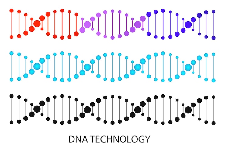 Vector dna vector illustration model of the molecular structure of dna strands double helix structure