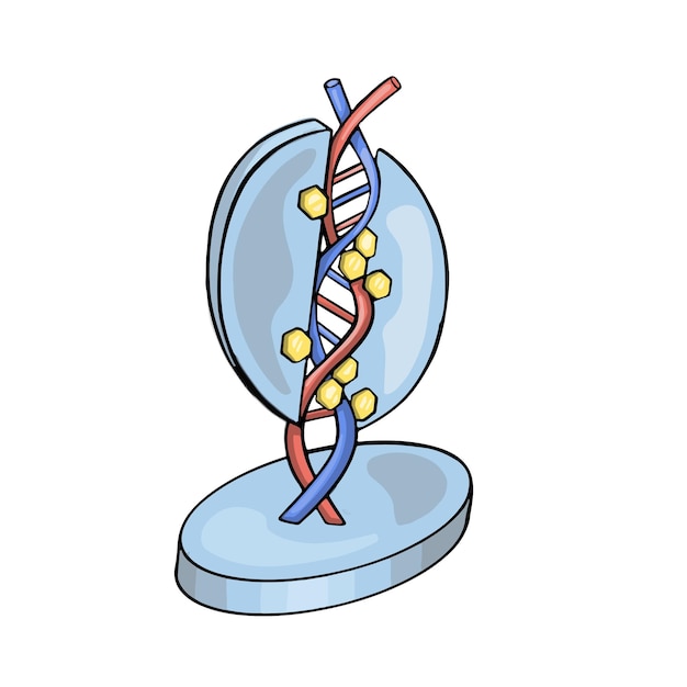 DNA volumetrisch illustratieoverzicht