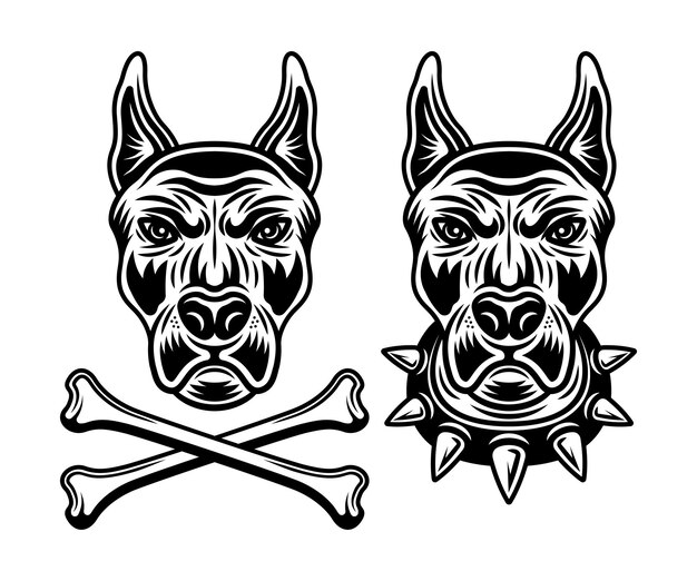 Доберман голова собаки набор векторных иллюстраций в монохромном стиле, изолированные на белом фоне