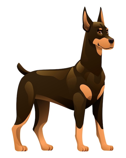 Vector doberman dog vector cartoon illustration