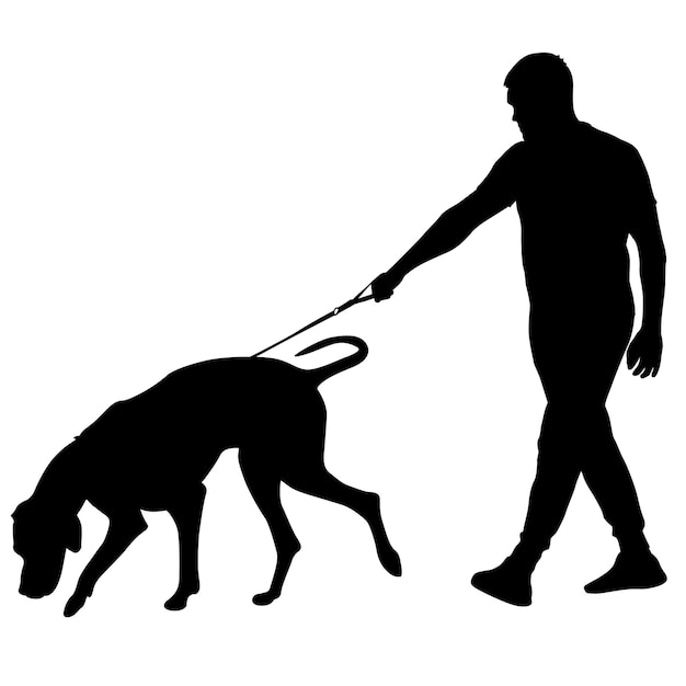 Vector doberman pinscher dog black silhouette on white background