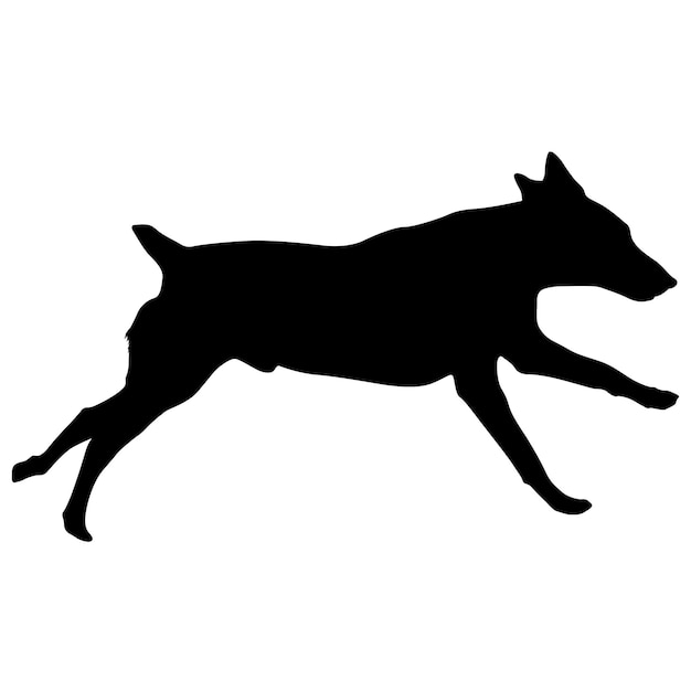 Doberman pinscher dog silhouette on a white background