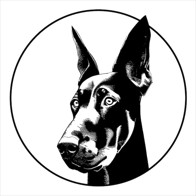 Dobermann vector portret in zwart-wit