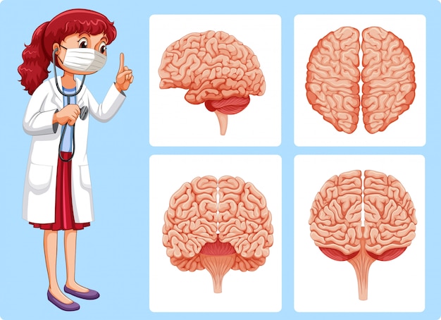 Vector doctor and brain diagrams