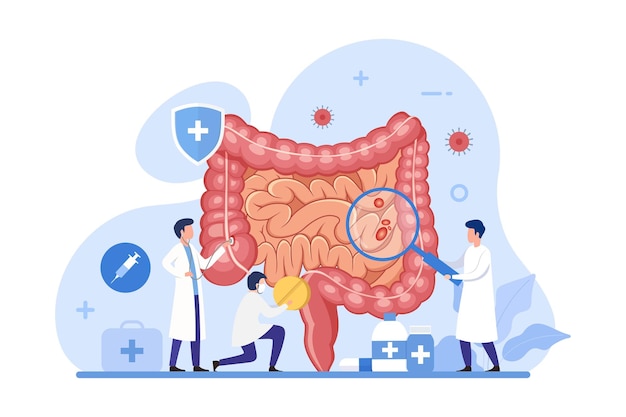 Il medico controlla e tratta il concetto di design dell'intestino