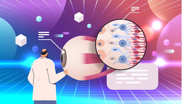 상세한 설명 인간의 눈 구조 내부 장기 구조 상세한 안구 의료 의료를 검토하는 의사