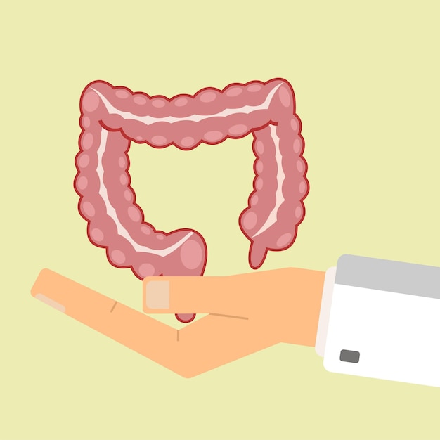 人間の腸を持っている医者の手 ヘルスケアの概念ベクトル図