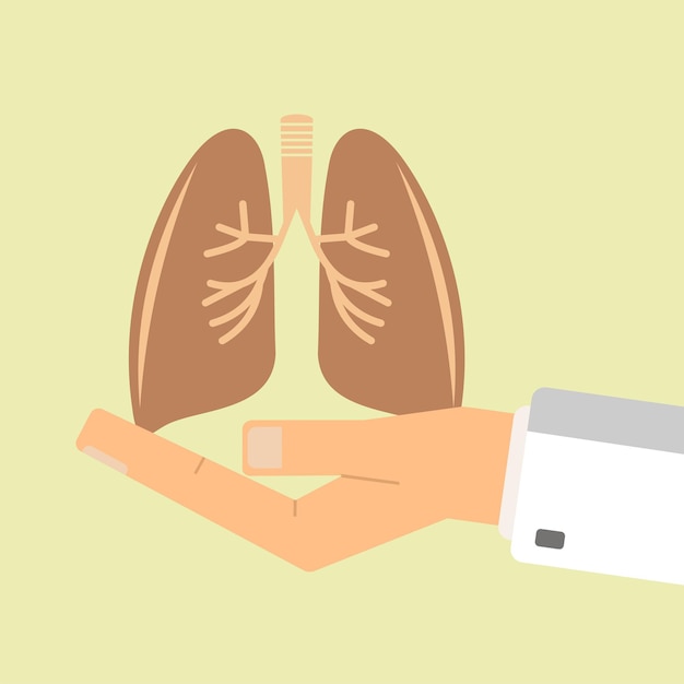 The doctor hand holding human lungs Healthcare concept vector illustration