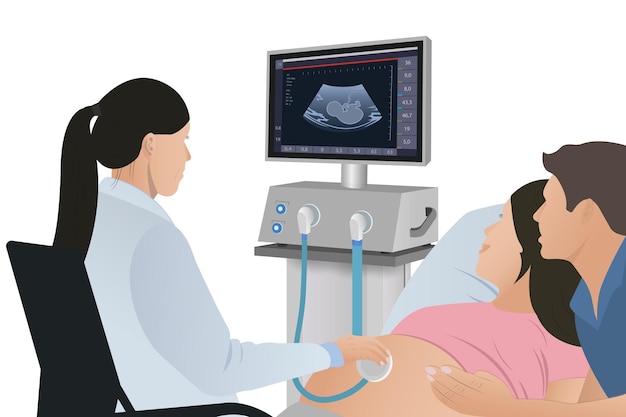 Vector the doctor shows the ultrasound machine to future parents. vector illustration