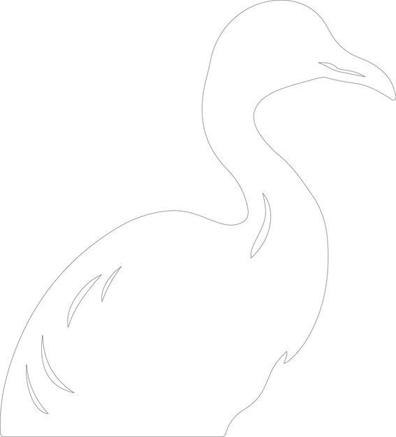 Vector dodo outline with transparent background