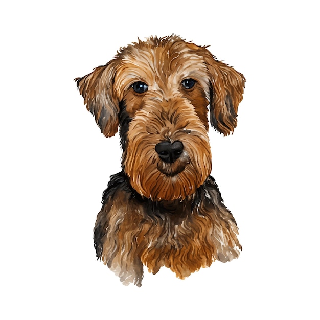 Dog airedale terrier watercolor painting. Adorable puppy animal isolated on white background.