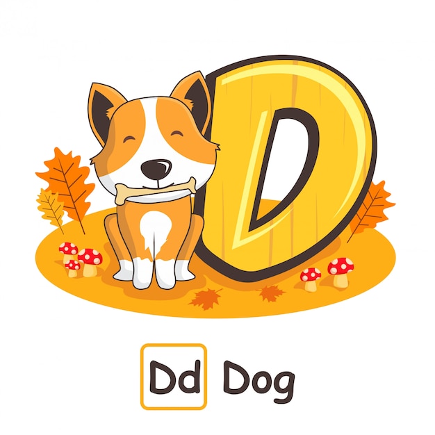 Dog Animals Alphabets from Letters D