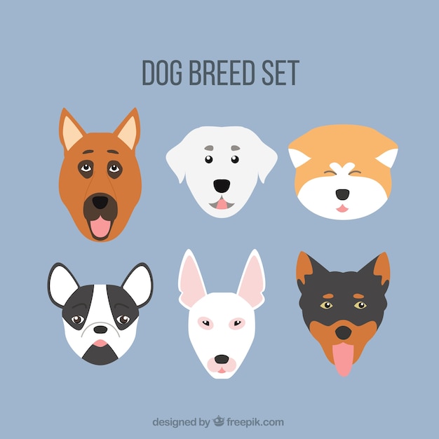 Vector dog breed avatar collection