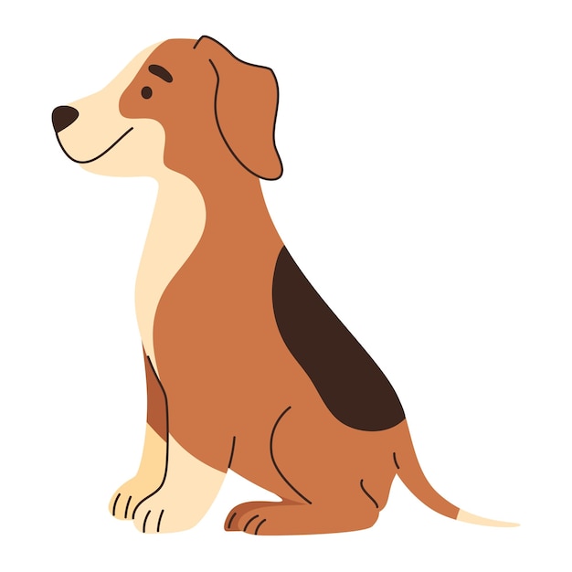 dog breed beagle sitting