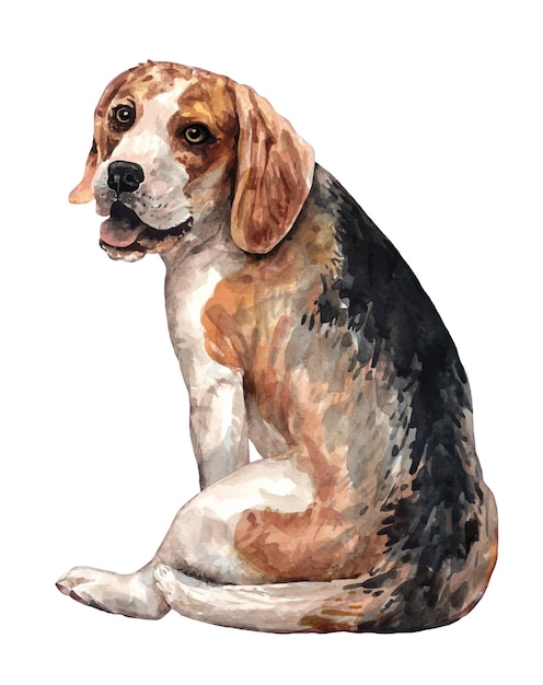 Vector dog of breed of beagle turn around cute puppy beagle