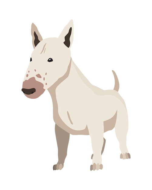 Vector dog breed bullterrier cartoon domestic pet character with smoothhaired flat vector illustration human friend home animal