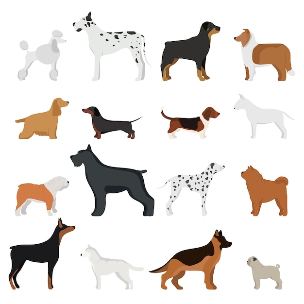 Dog breed vector illustration