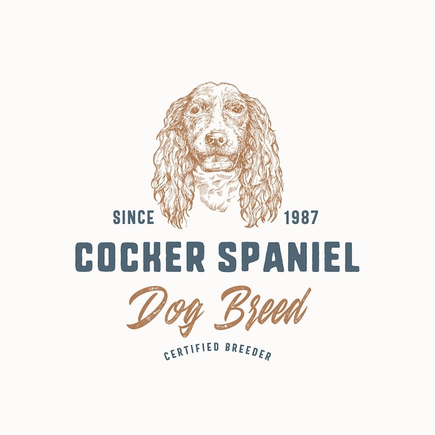 Vector dog breeder badge or logo template hand drawn cocker spaniel breed face sketch with retro typography...