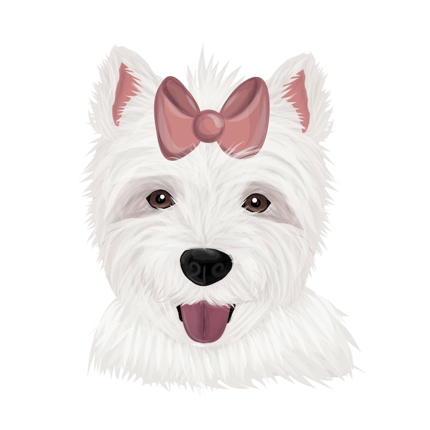 Vector dog breeds highland white terrier