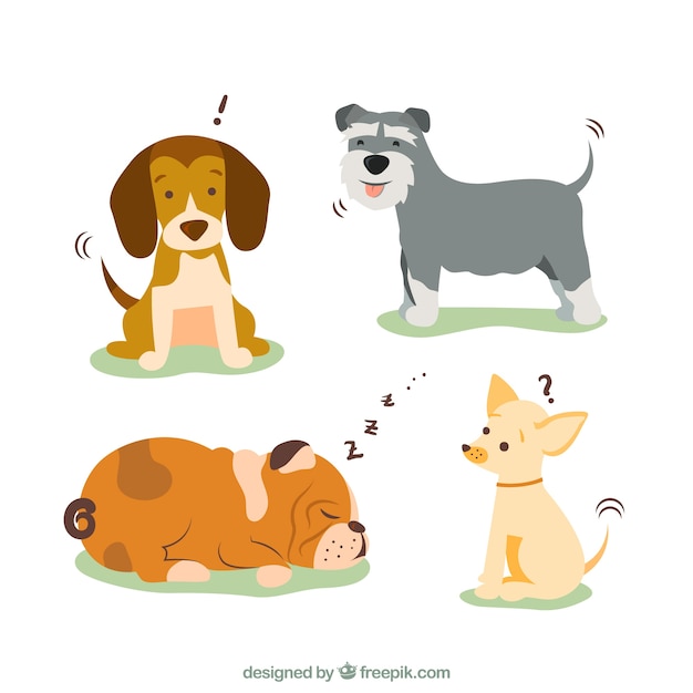 Dog breeds illustration