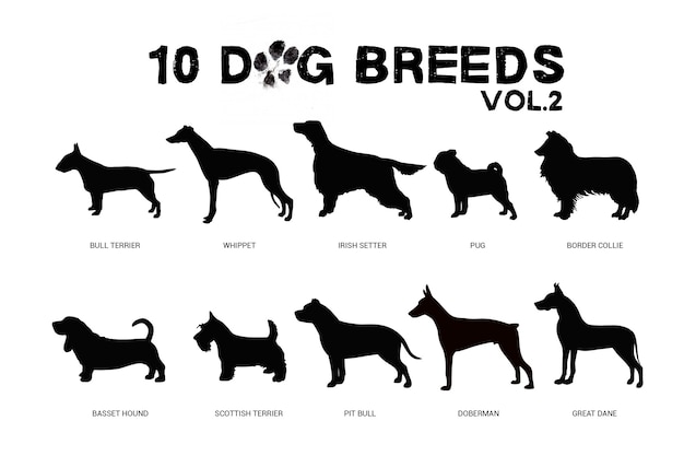 Vector dog breeds