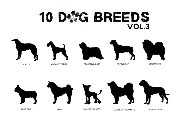 Dog breeds