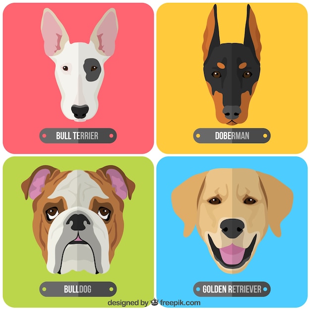 Vector dog breeds