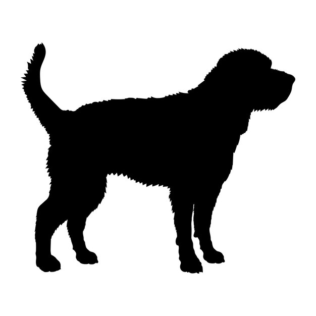 Vector dog briquet griffon vendeen silhouette dog breeds logo dog monogram vector