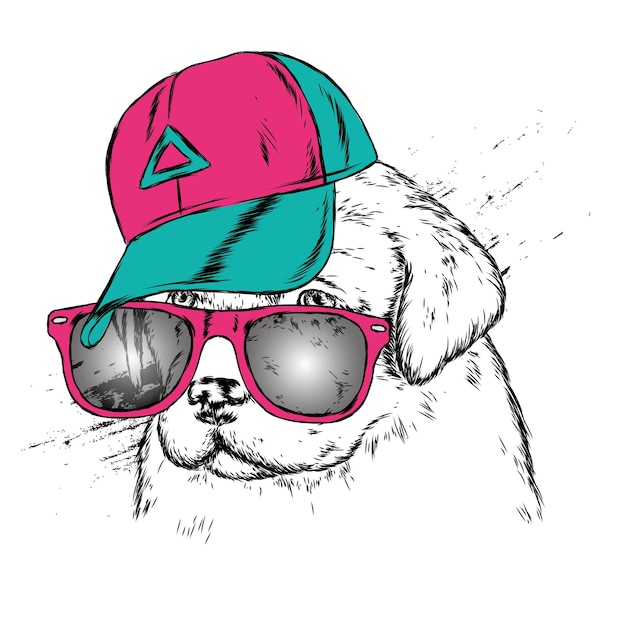 Vector dog in a cap and glasses