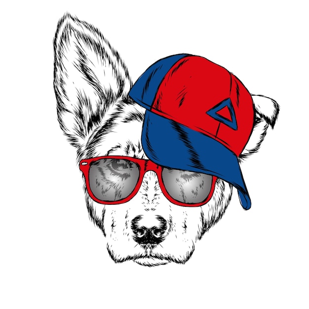 Vector dog in a cap and glasses