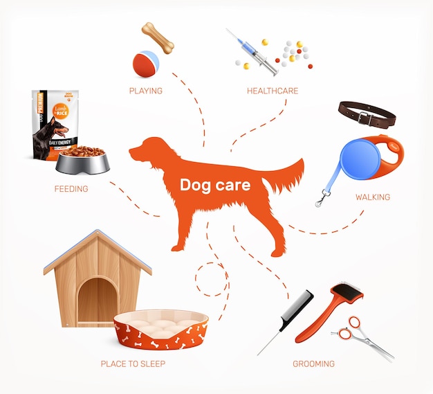 Vector dog care infographics