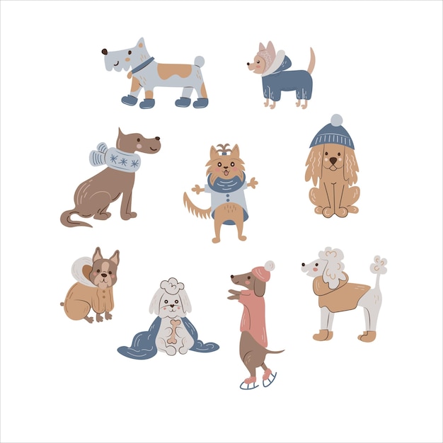 Vector dog in cloth set