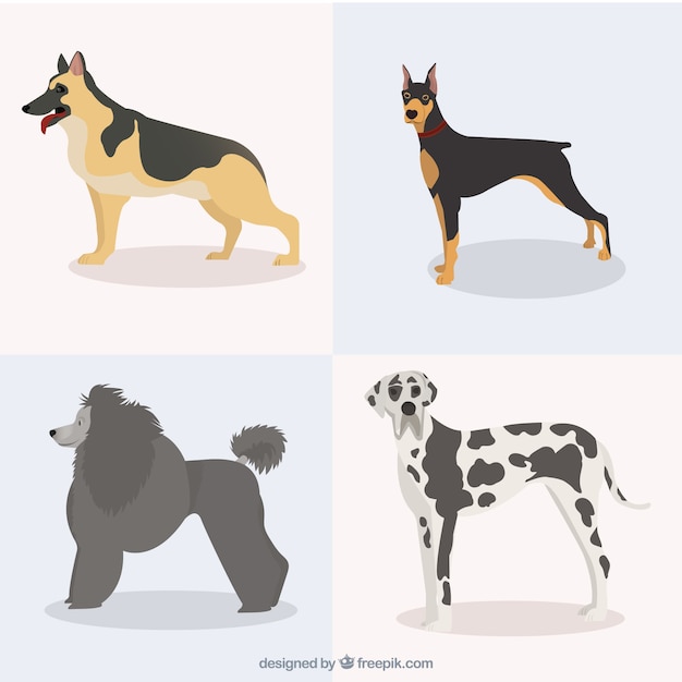Vector dog cute breeds pack