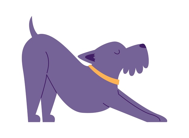 Vector dog doing yoga