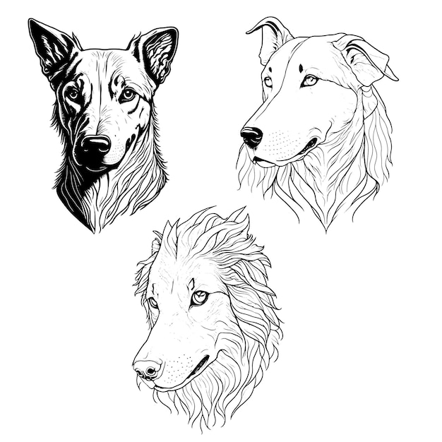 Dog faces