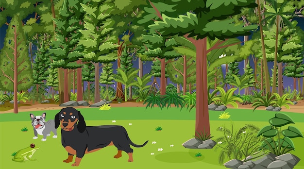 A dog in a forest with a black dachshund