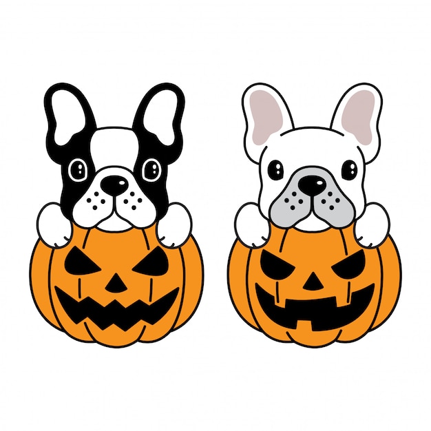 Cane bulldog francese zucca di halloween