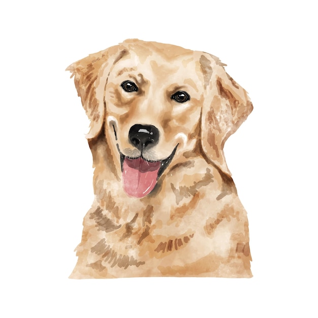 Dog Golden Retriever watercolor painting Adorable puppy animal isolated on white background Realistic cute dog portrait vector illustration