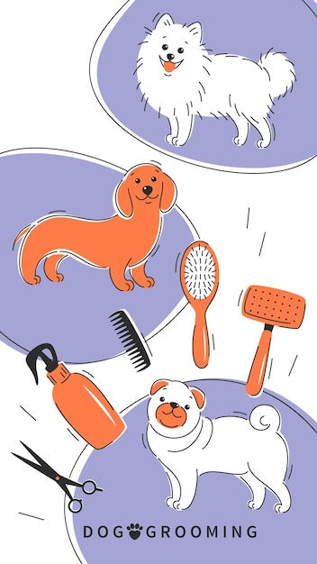 Vettore dog grooming cartoon cani con diversi strumenti per i peli degli animali grooming tagli di capelli bagno igiene