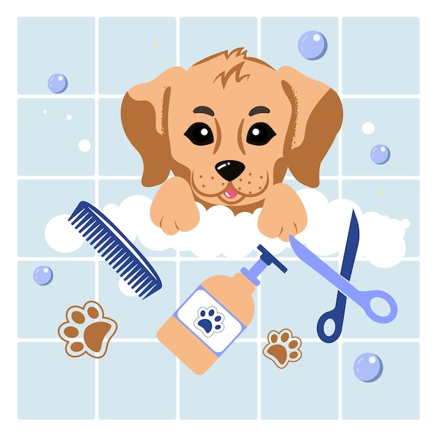 Dog grooming emblem with scissors and comb cute little dog hair salon for dogs cartoon vector