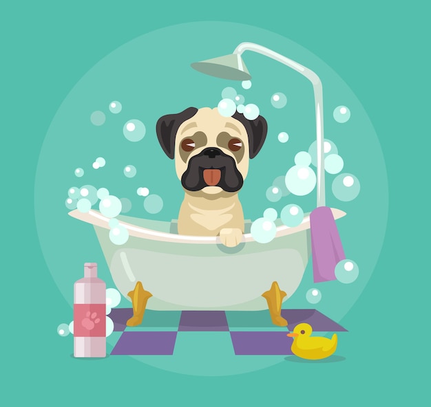 Vector dog grooming.  flat illustration