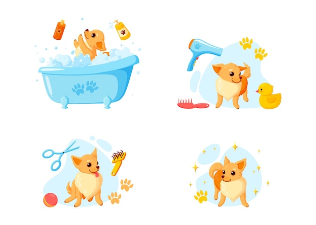 Уход за собакой в ванне с шампунем для домашних животных и резиновыми утками игривый щенок чихуахуа в уходе