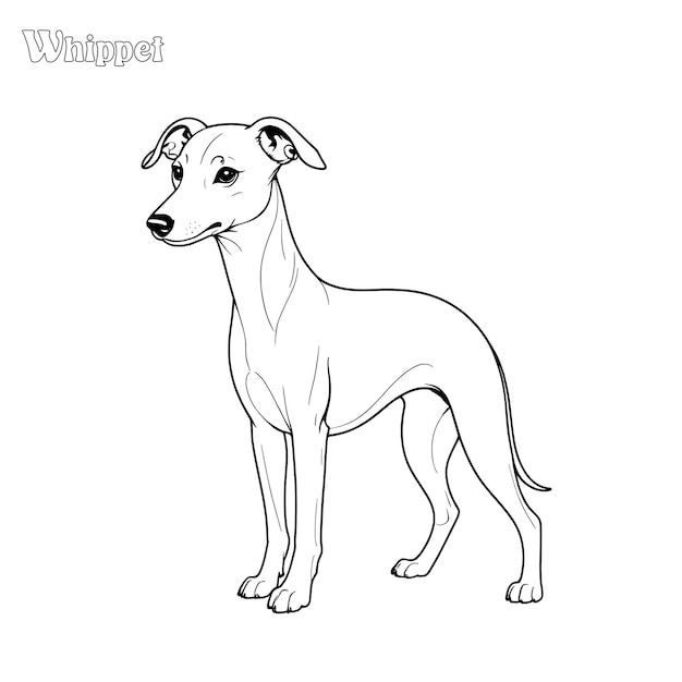 Dog hand drawn coloring page and outline vector design