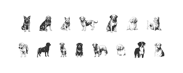 Vector dog hand drawn set vector illustration design