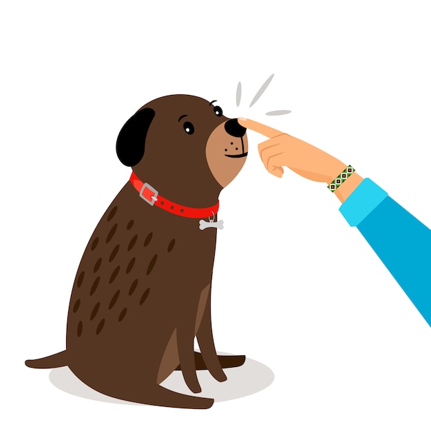 Vector dog health test. girl hand touches her dogs nose vector illustration