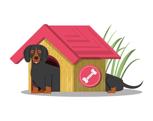 Dog house with dashshund dog 